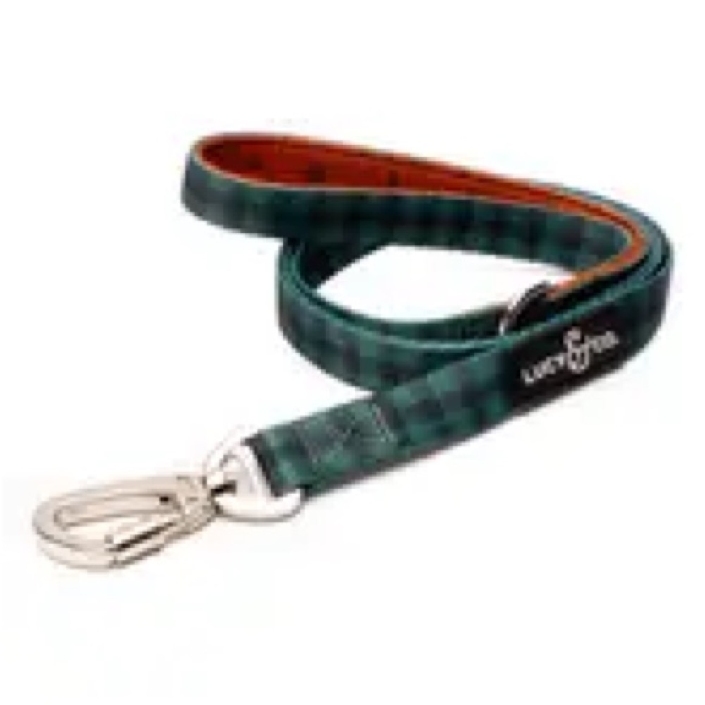 Lucy & Co. The Let’s Adventure Reversible Harness with Collar and Leash!